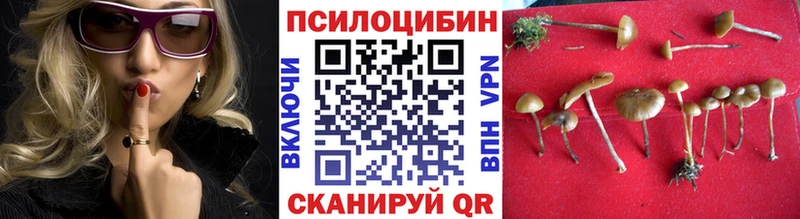 Галлюциногенные грибы Psilocybe Воркута