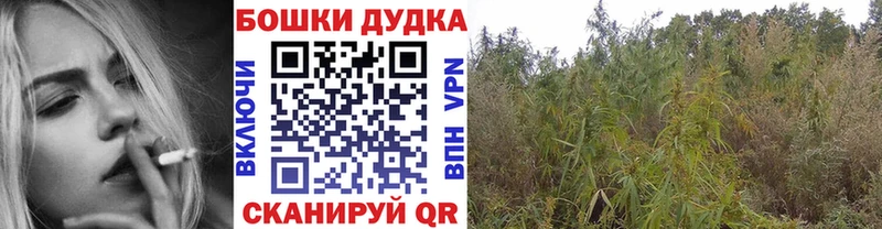 Купить Воркута Каннабис AK-47